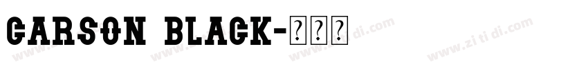 Carson black字体转换